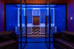 8 - Lighting System RGB Modern Home Wine Room